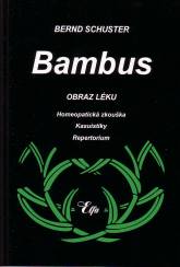 Bambus – Obraz léku